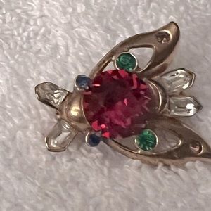 Trendy vintage insect pin.